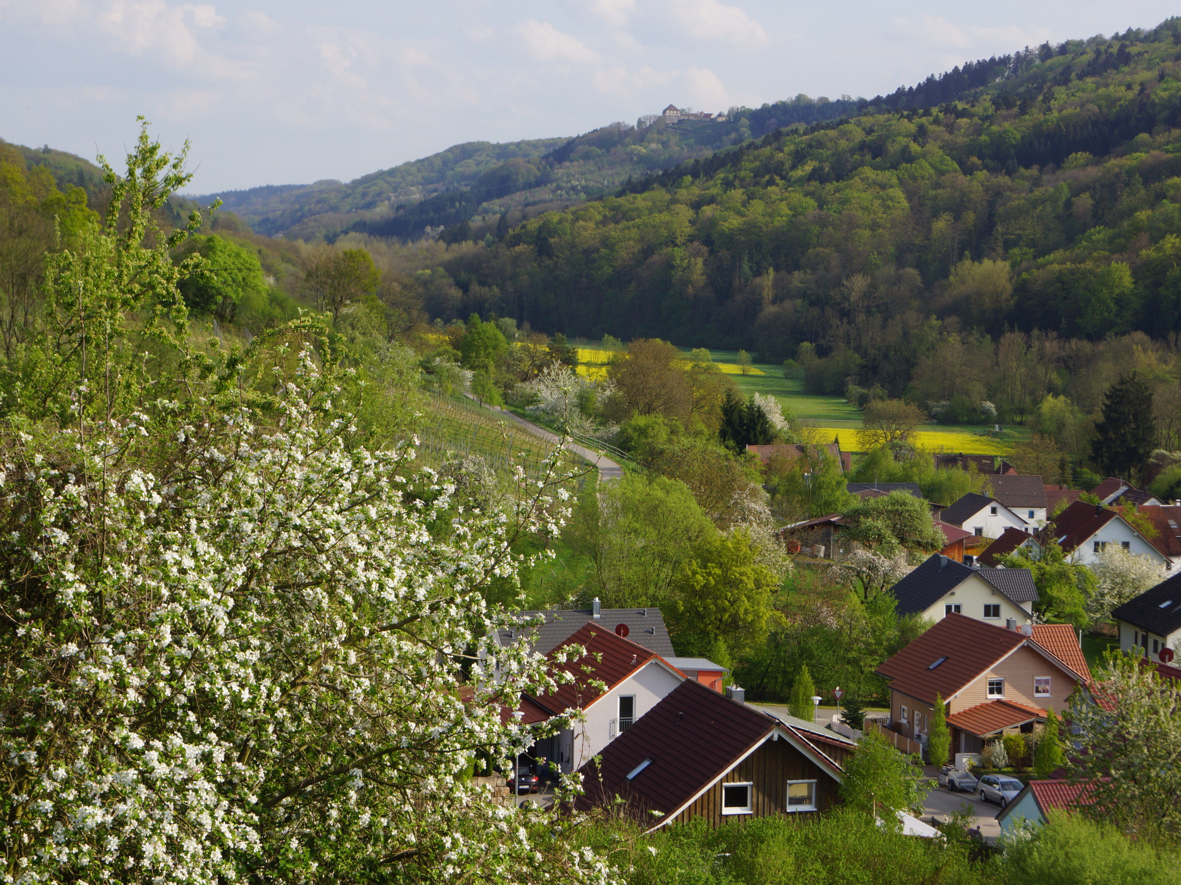  Blick von Geddelsbach zur Burg Maienfels 