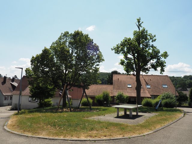 Spielplatz Kastanienweg Dimbach