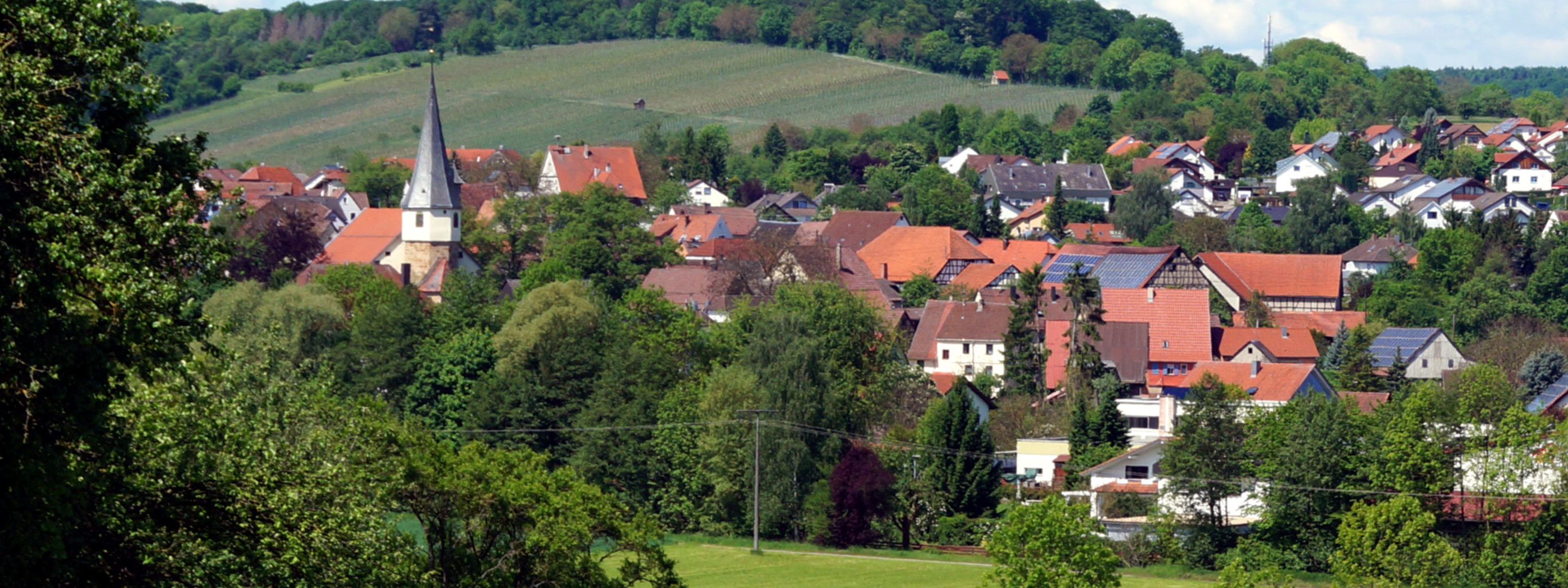  Waldbach 